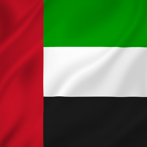 Kuwait Flag (Copy)