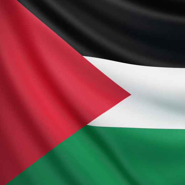 Palestine Flag