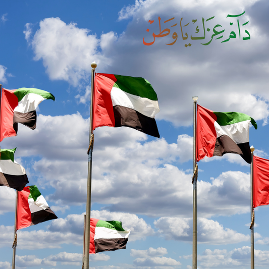UAE Flag 3
